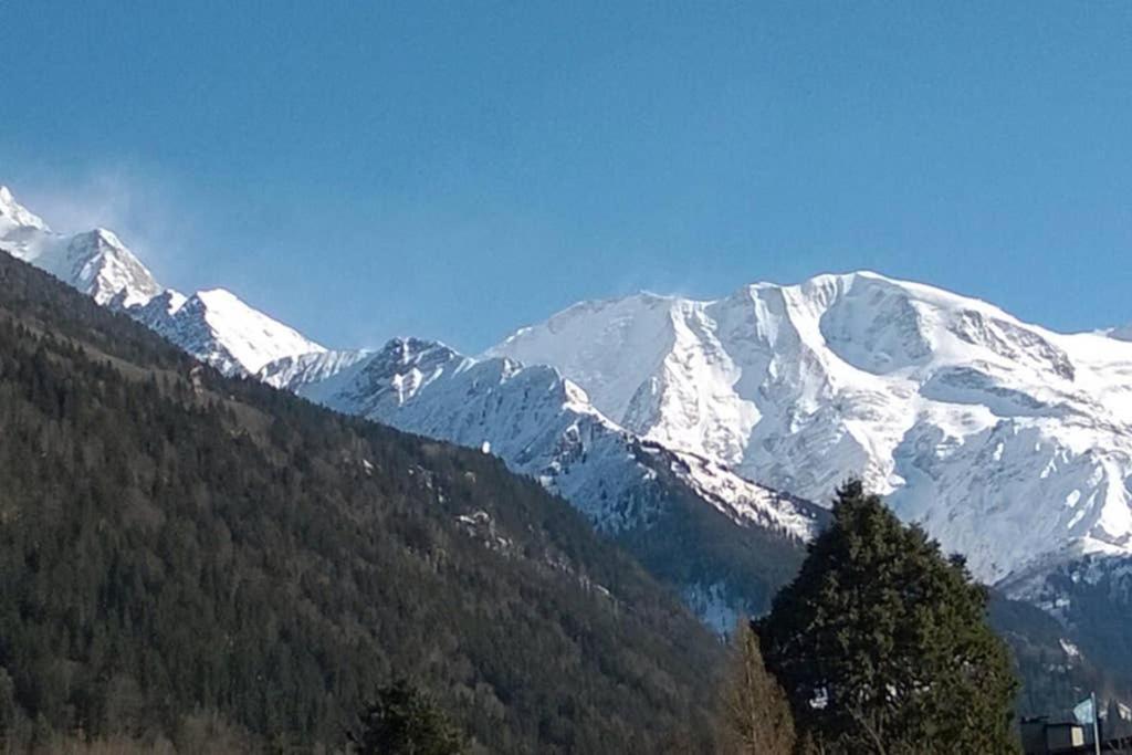 Appartement Spacieux Proche Des Telecabines Et Du Centre Ville Avec Jardin Prive Saint-Gervais-les-Bains Exterior foto
